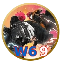 W69
